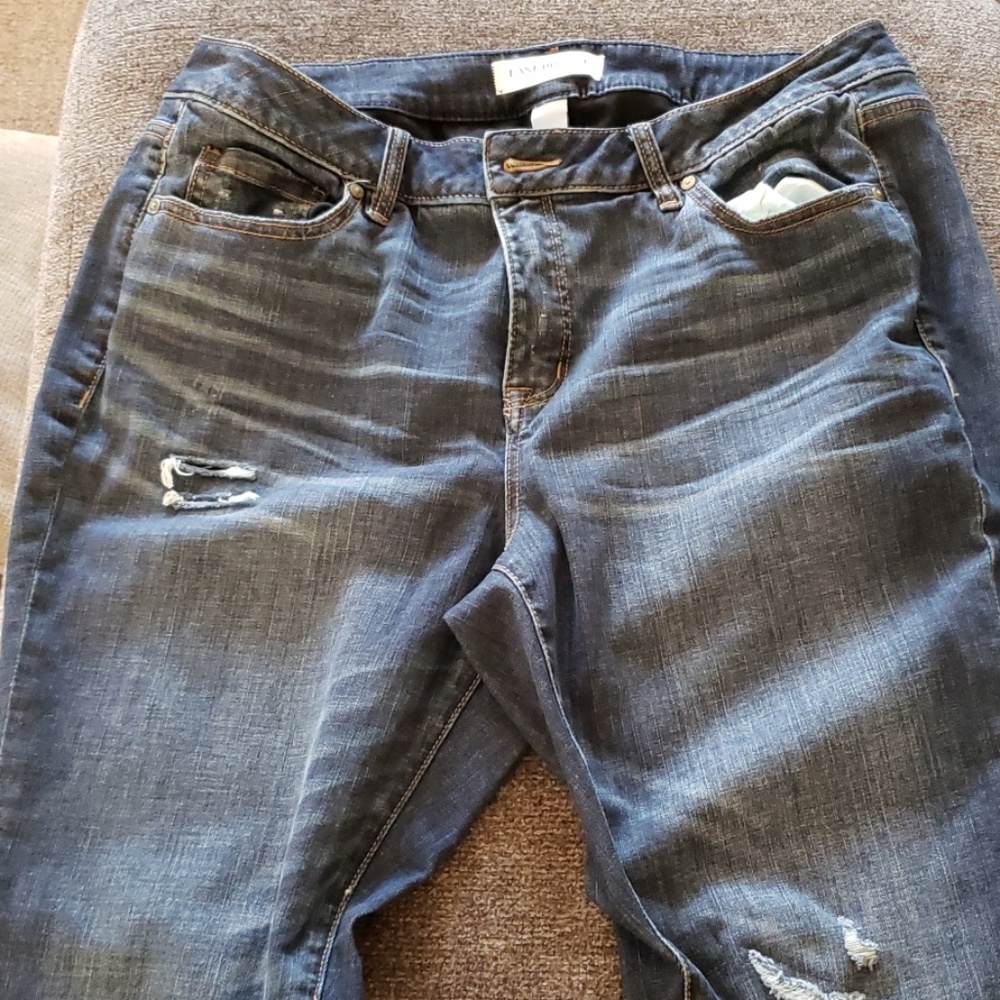 Lane bryant distressed Jean's